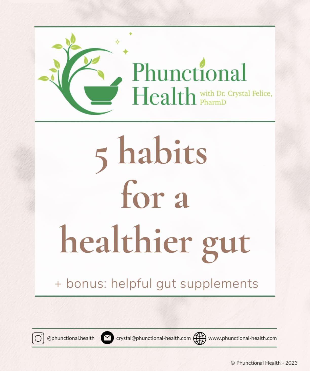 5 Habits for a Healthier Gut — guide cover
