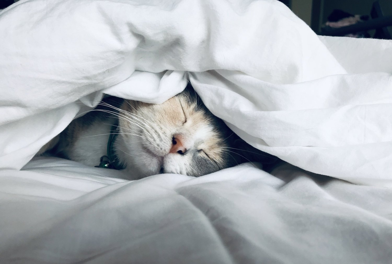 Peaceful sleep
